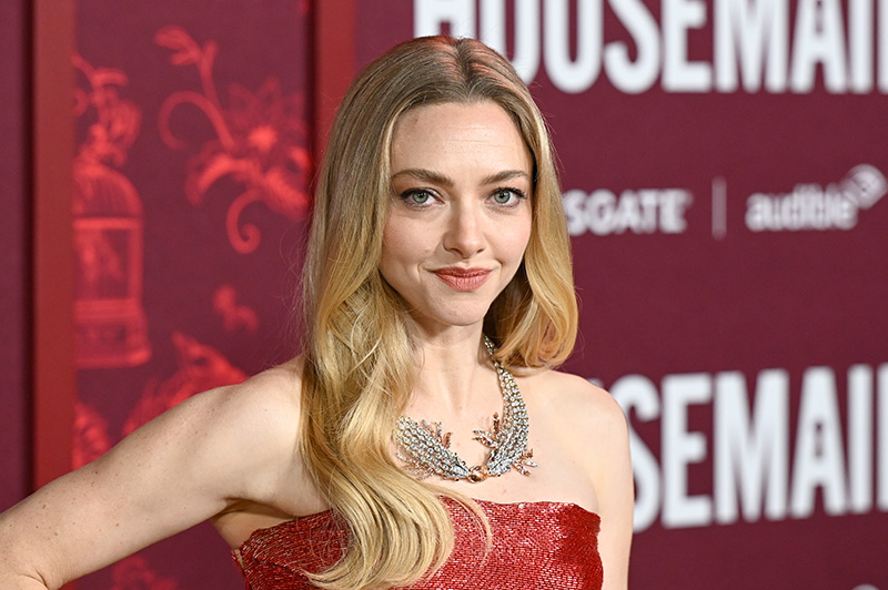 Amanda Seyfried wears Monse at